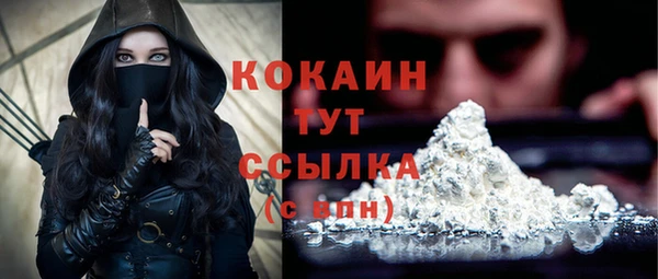 дживик Баксан