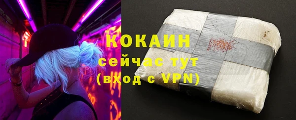 дживик Баксан