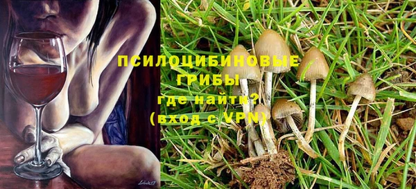 кокс Арсеньев