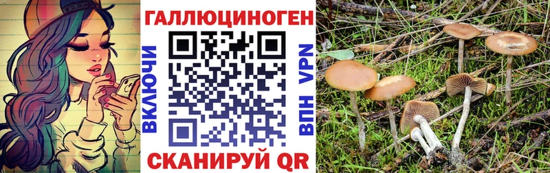 Псилоцибиновые грибы Cubensis Кинель