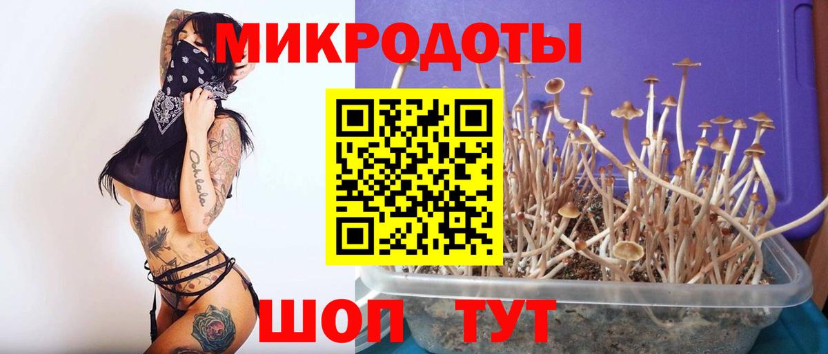 Псилоцибиновые грибы Psilocybine cubensis Кинель